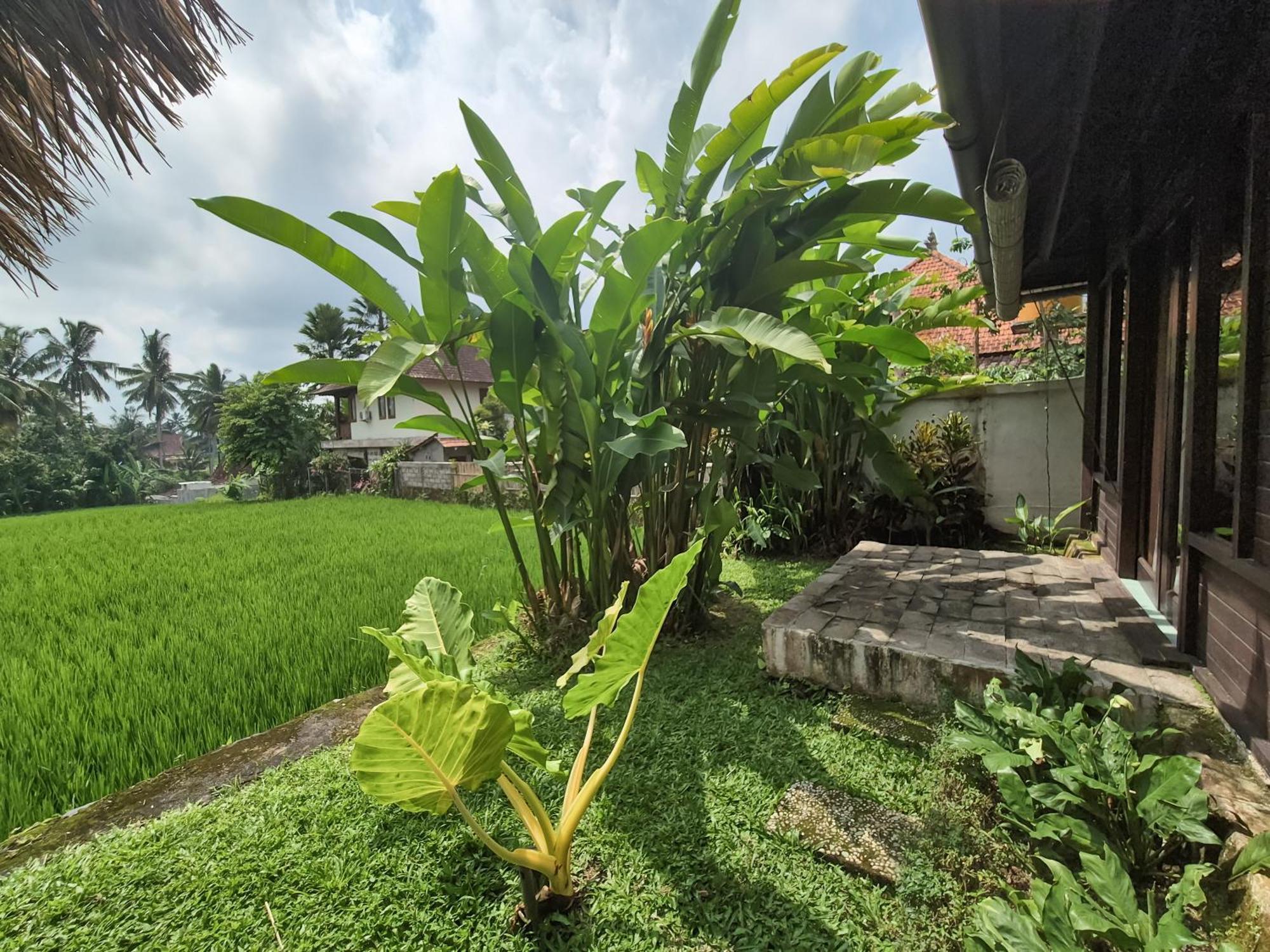 Villa Padi Menari Ubud Exterior foto